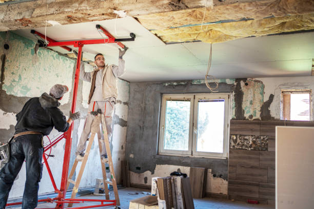 Best Geographic-Specific Insulation Services in Mays Landing, NJ